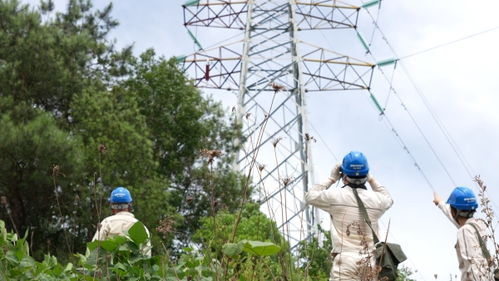 北碚 翻山越嶺巡視線路，全力保障夏季供電安全