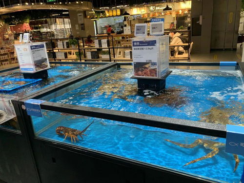 新零售下的美學(xué)革命 盒馬鮮生服裝陳列如何顛覆傳統(tǒng)銷售